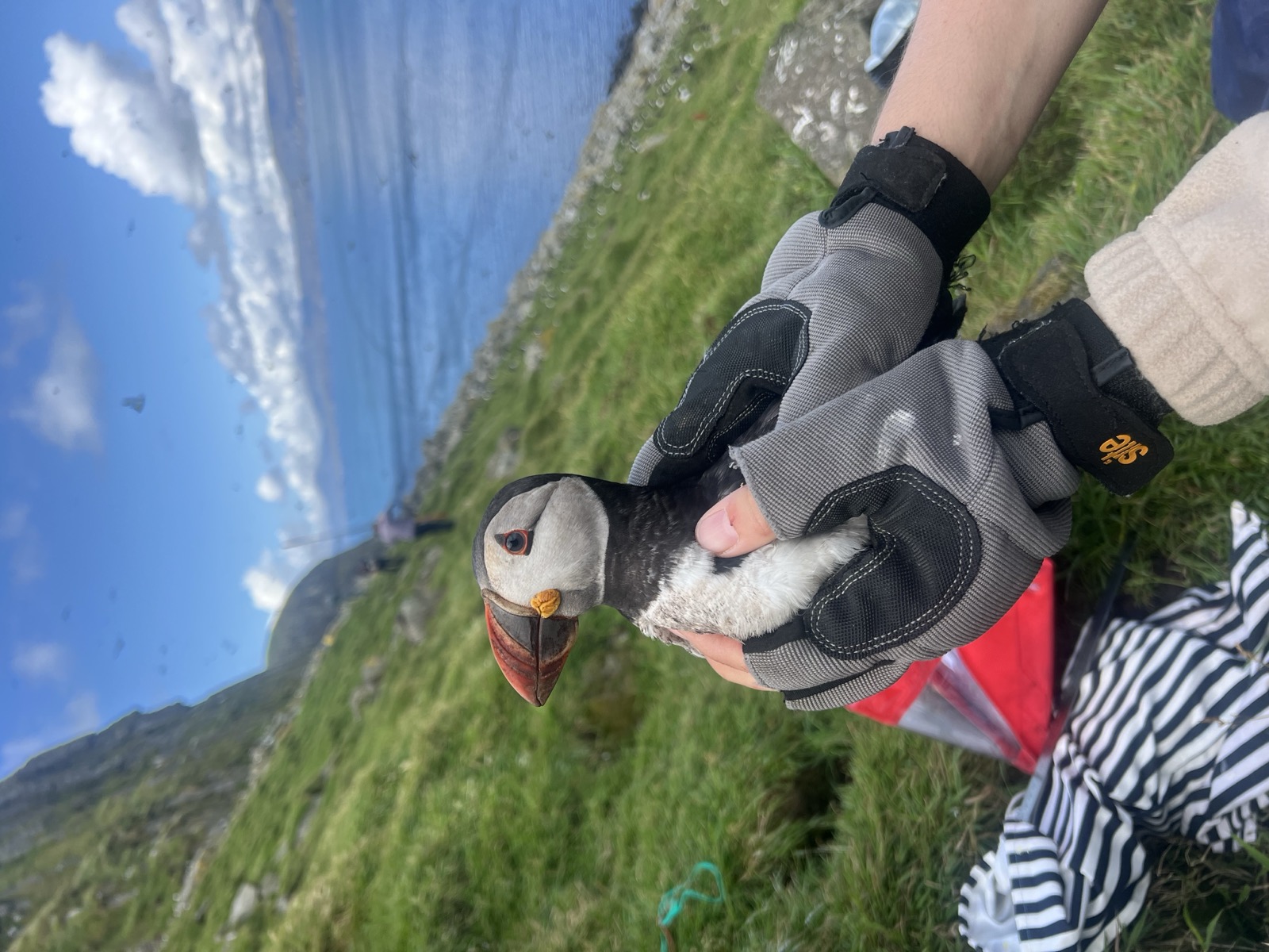 Sail Britain residency, Stornoway, 2025 — image 24