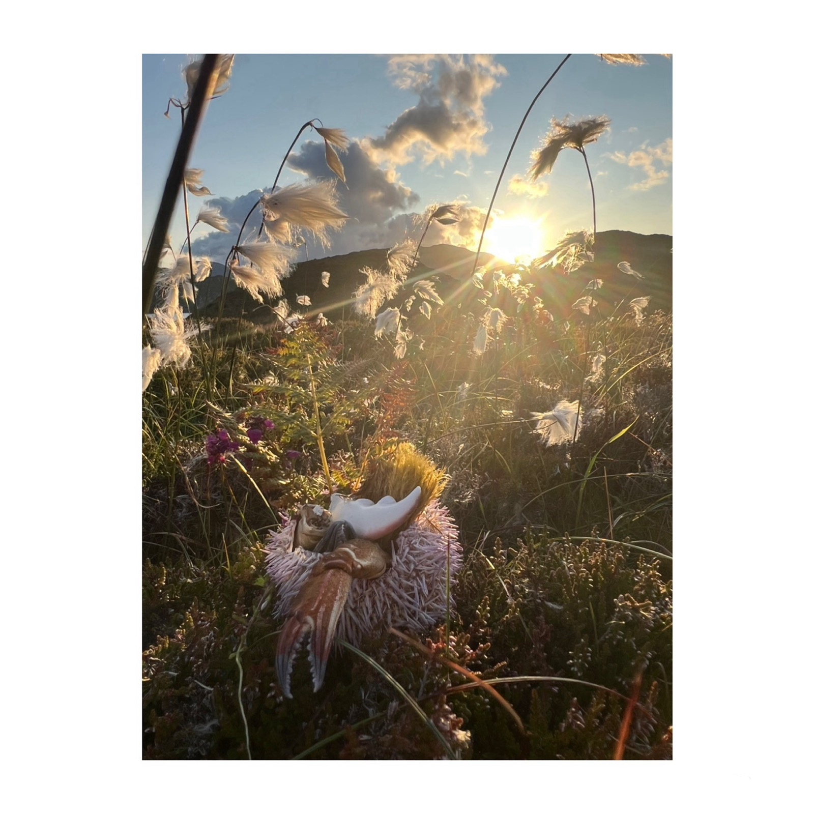 Sail Britain residency, Stornoway, 2025 — image 37